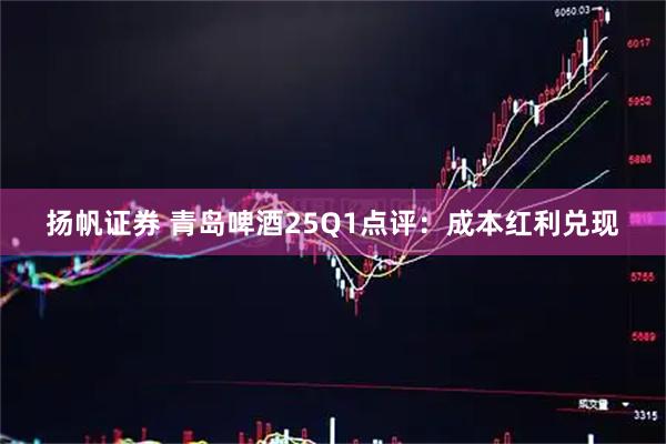 扬帆证券 青岛啤酒25Q1点评：成本红利兑现